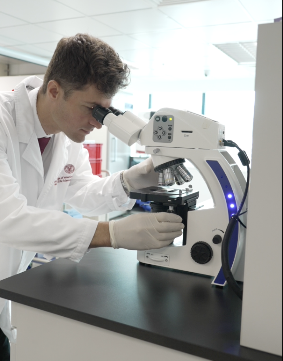 BSF Research